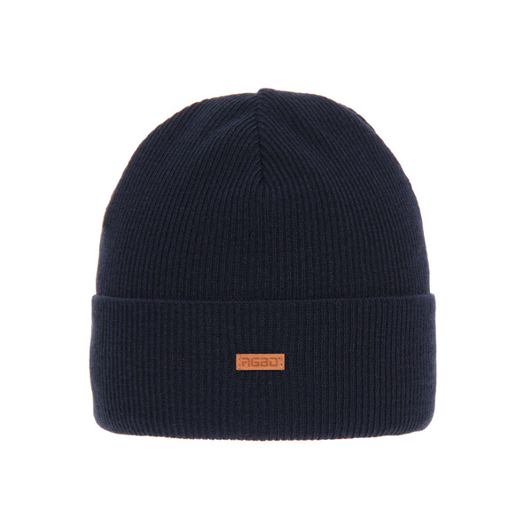 Men's winter hat navy blue Aleks