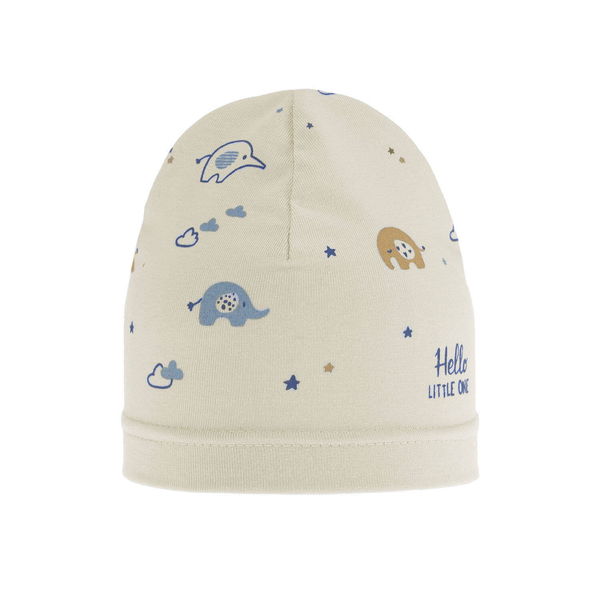 Boy's spring/ autumn hat beige Afil