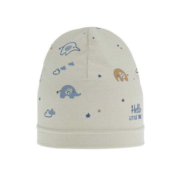 Boy's spring/ autumn hat beige Afil