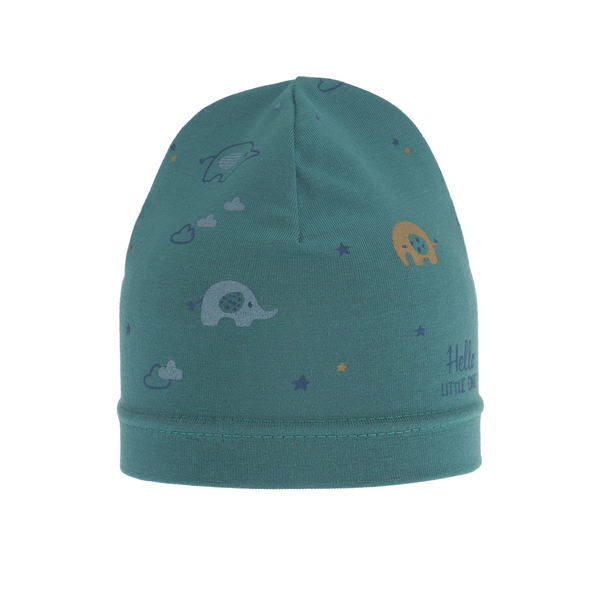 Boy's spring/ autumn hat green Afil