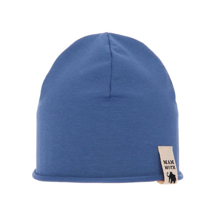 Boy's spring/ autumn hat blue Rafi