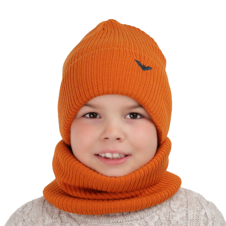 Boy's winter set: hat and tube scarf camel Romeo
