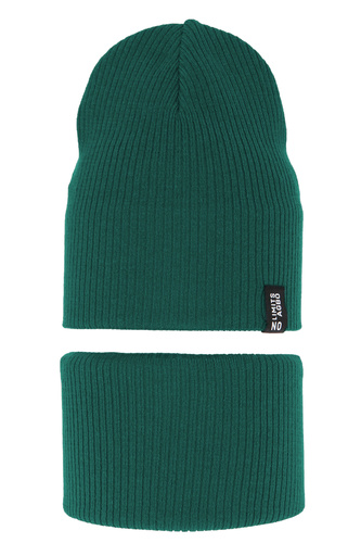 Children's autumn/ spring set: hat and tube scarf, with cotton, green Tunis