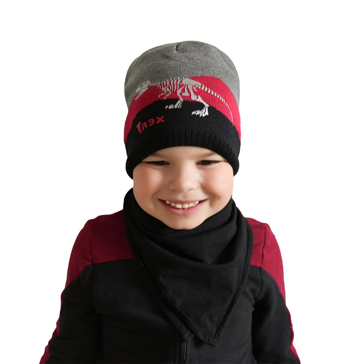 Boy's spring/ autumn hat grey Syriusz