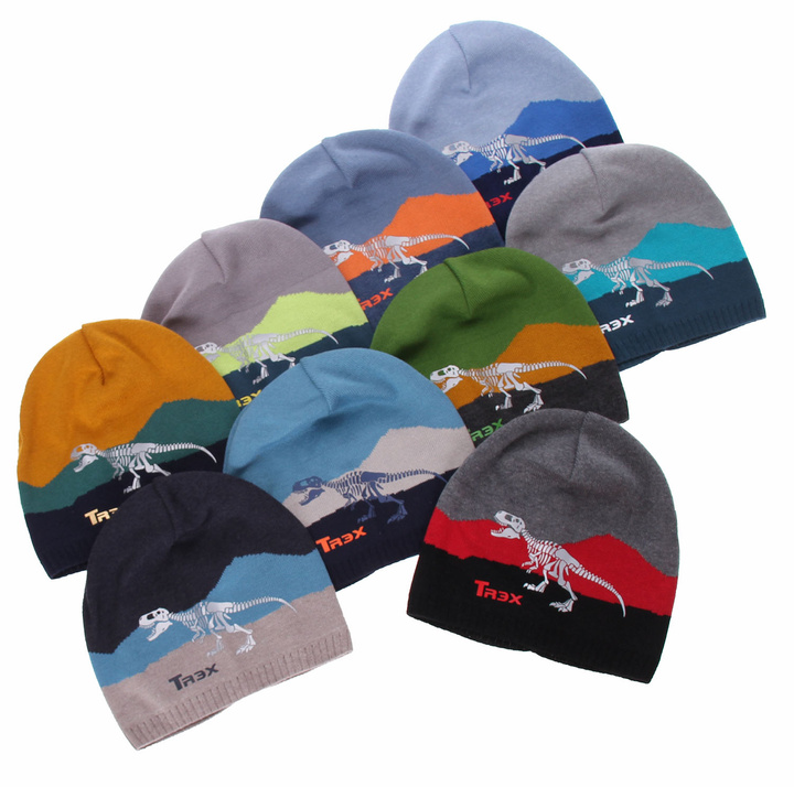 Boy's spring/ autumn hat grey Syriusz