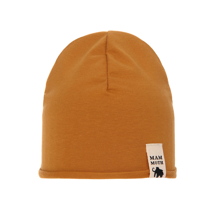 Boy's spring/ autumn hat honey Rafi 