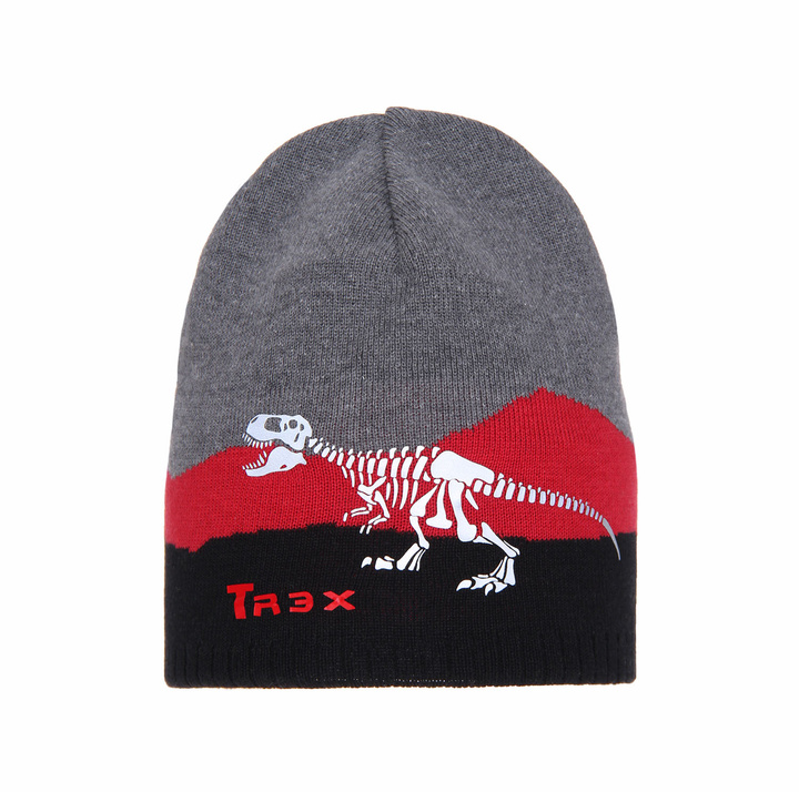 Boy's spring/ autumn hat grey Syriusz