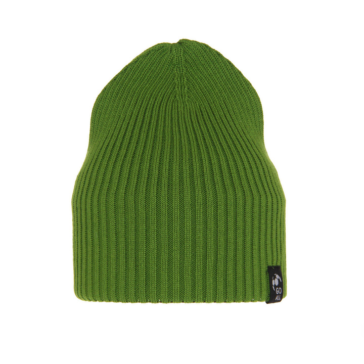 Boy's spring/ autumn hat green Lenis