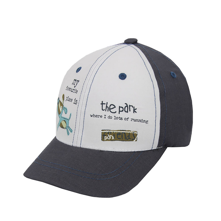 Boy's summer cap grey Dog