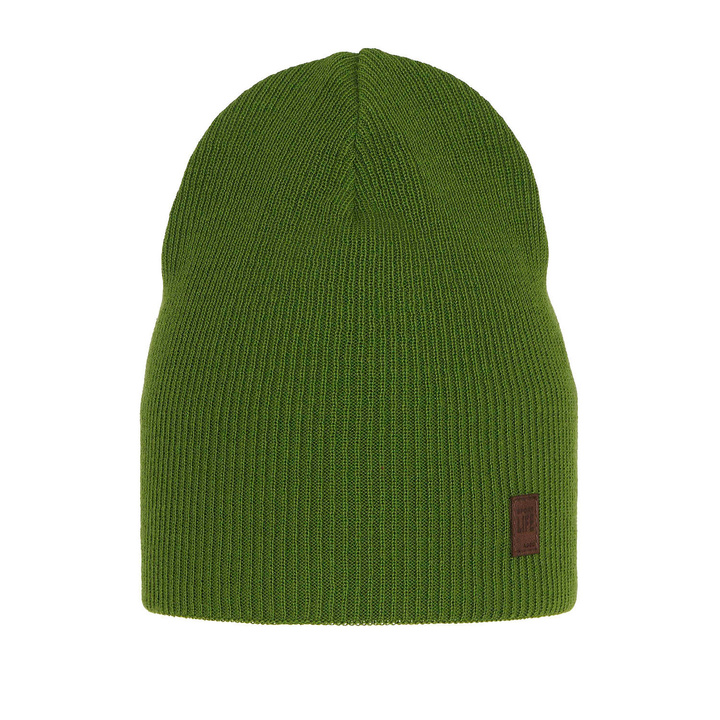 Boy's spring/ autumn hat green Bonus